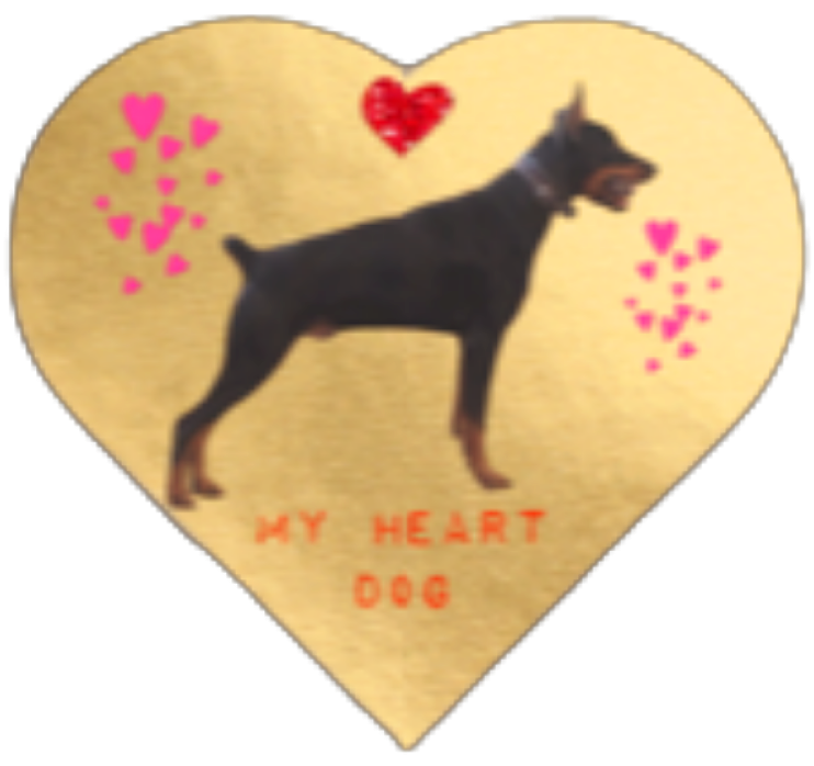 My Heart Dog